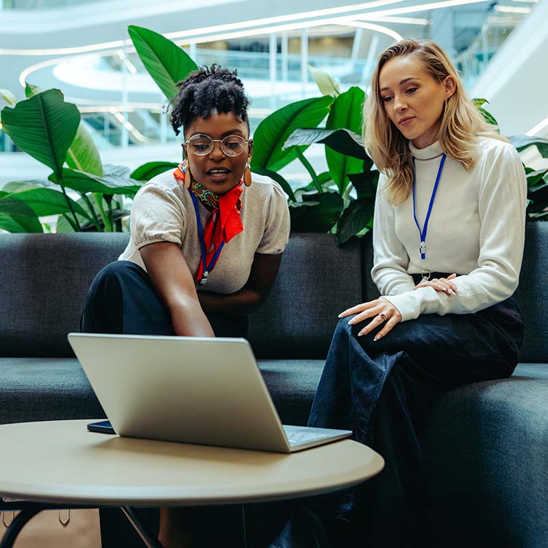 Government Organisations landing 800x800px two government female workers working in office breakouy area discussing what is on the laptop screen
